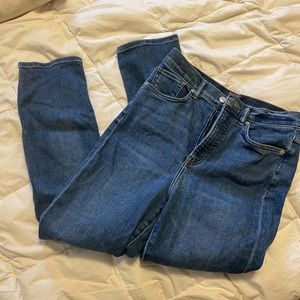Express Jeans Straight Ankle